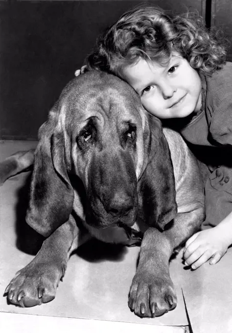 New York, New York:  1947. A little girl gives a hug to Ramapo, a bloodhound entered in the annual Westminster Kennel Club Dog Show  at Madison Square Garden.