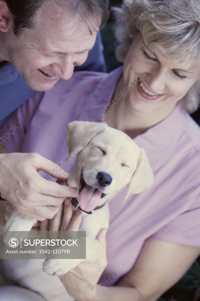 Stock Photo: 1042-11079B Mid adult couple holding a dog