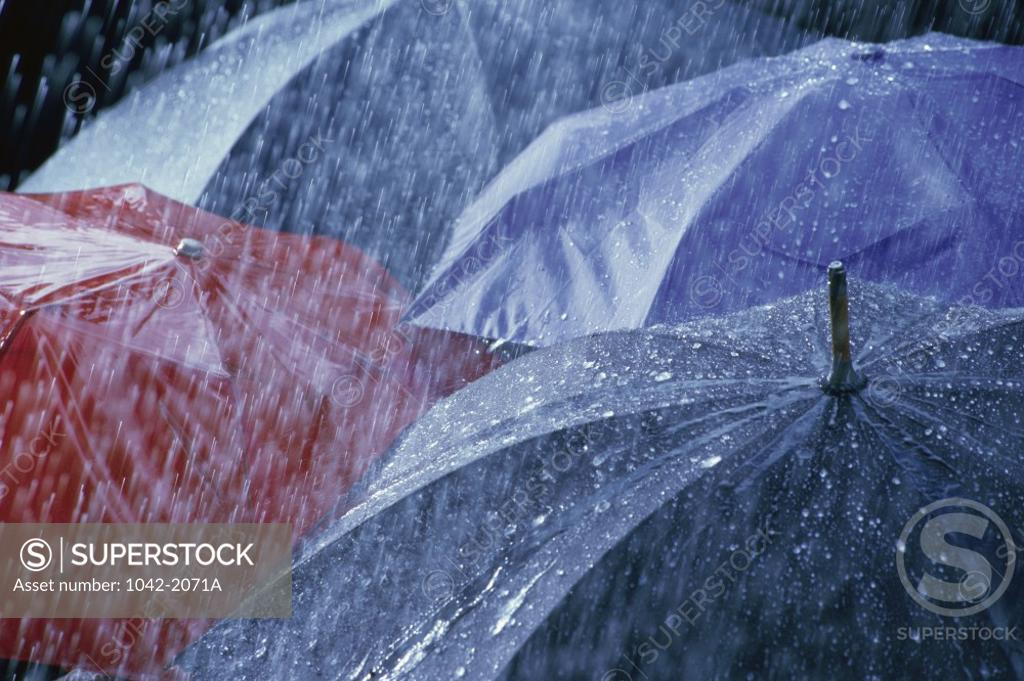 Stock Photo: 1042-2071A Close-up of umbrellas in the rain