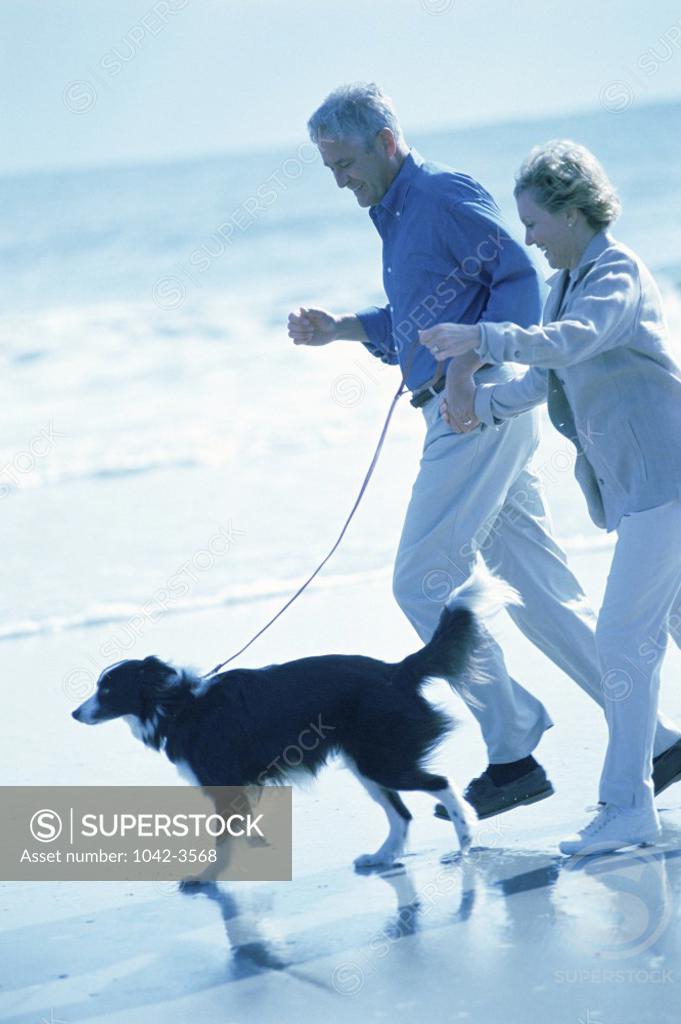 Stock Photo: 1042-3568 Senior couple walking with a dog on the beach