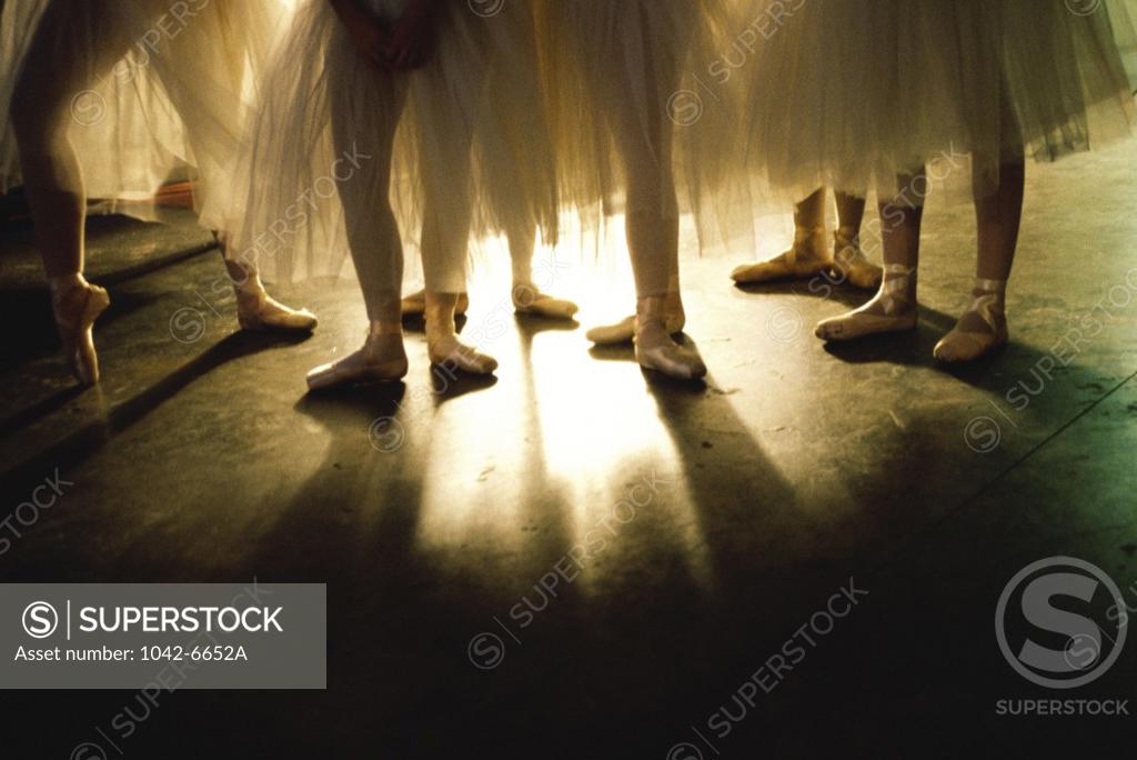 Stock Photo: 1042-6652A Low section view of ballerinas standing