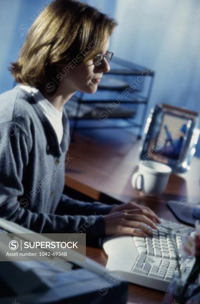 Stock Photo: 1042-6934B Side profile of a businesswoman using a computer