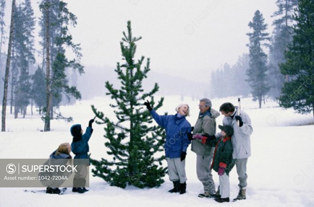 Stock Photo: 1042-7204A Family standing in the snow