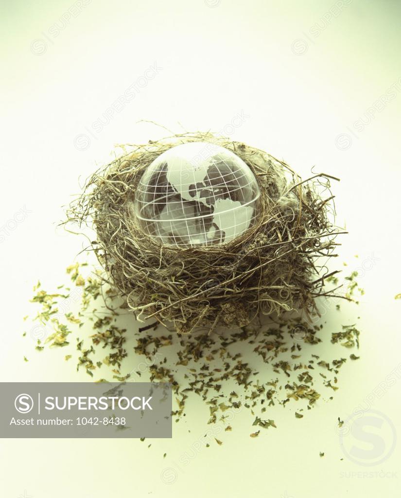 Stock Photo: 1042-8438 Globe in a bird's nest