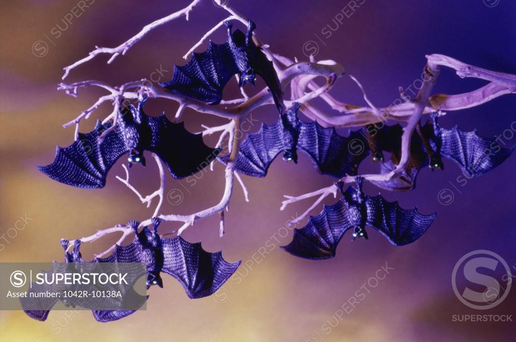 Stock Photo: 1042R-10138A Plastic bats hanging on branches of a tree