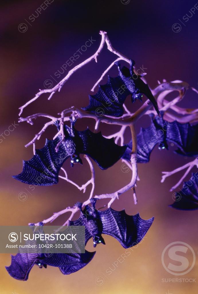 Stock Photo: 1042R-10138B Plastic bats hanging on branches of a tree