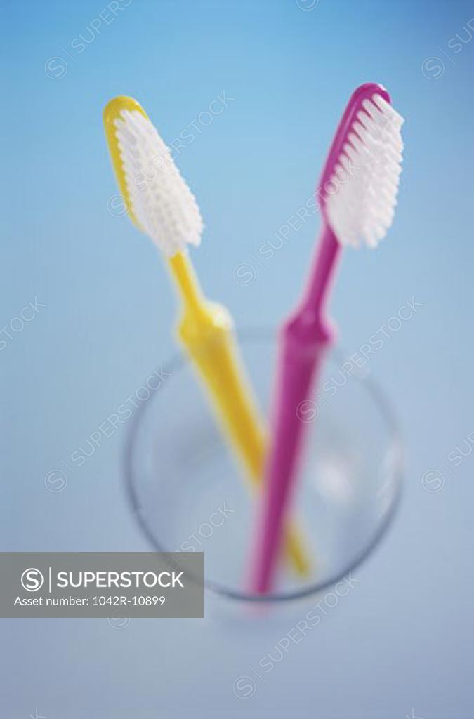 Stock Photo: 1042R-10899 Close-up of two toothbrushes in a toothbrush holder