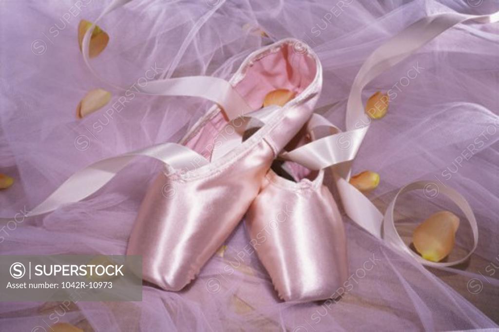 Stock Photo: 1042R-10973 Pair of ballet slippers and petals