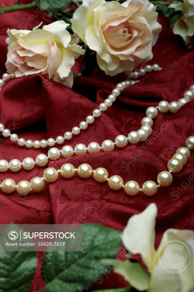 Stock Photo: 1042R-7659 Close-up of a pearl necklace and roses