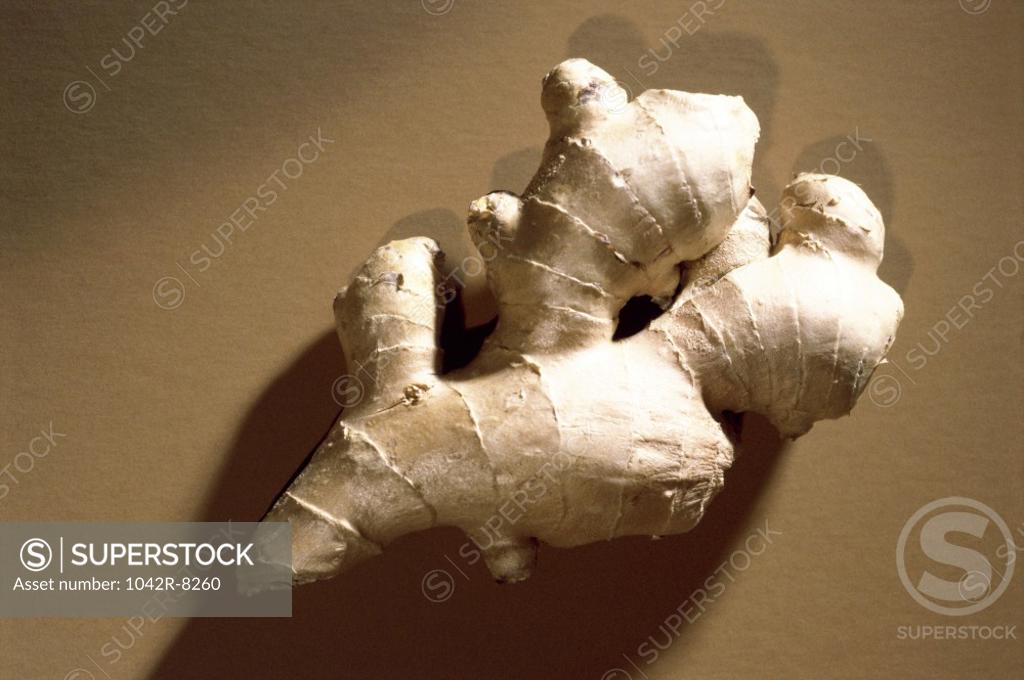 Stock Photo: 1042R-8260 Close-up of a ginger root