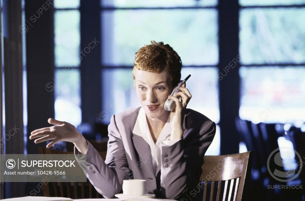 Stock Photo: 1042R-9566 Businesswoman talking on a mobile phone