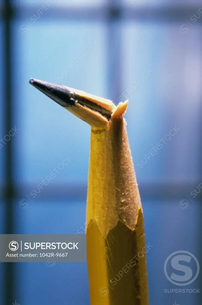Close-up of the broken tip of a pencil