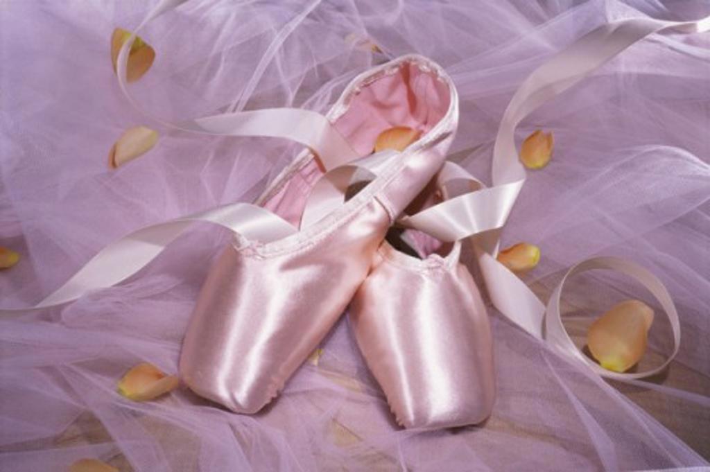 Pair of ballet slippers and petals