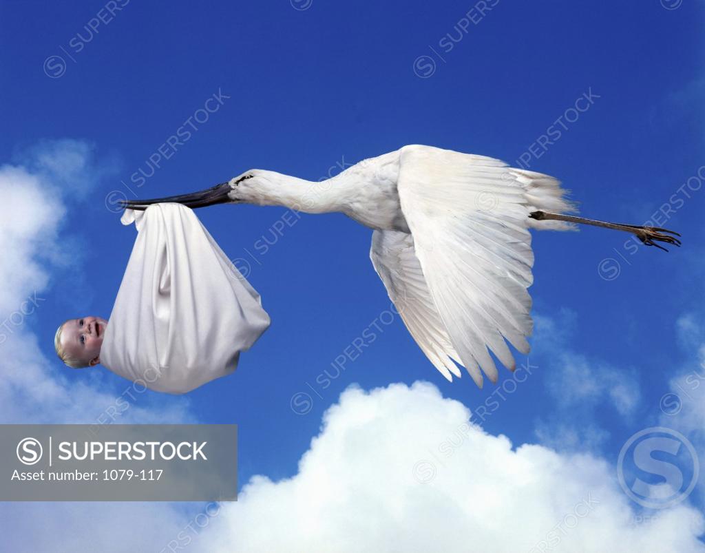 Stock Photo: 1079-117 Stork delivers baby