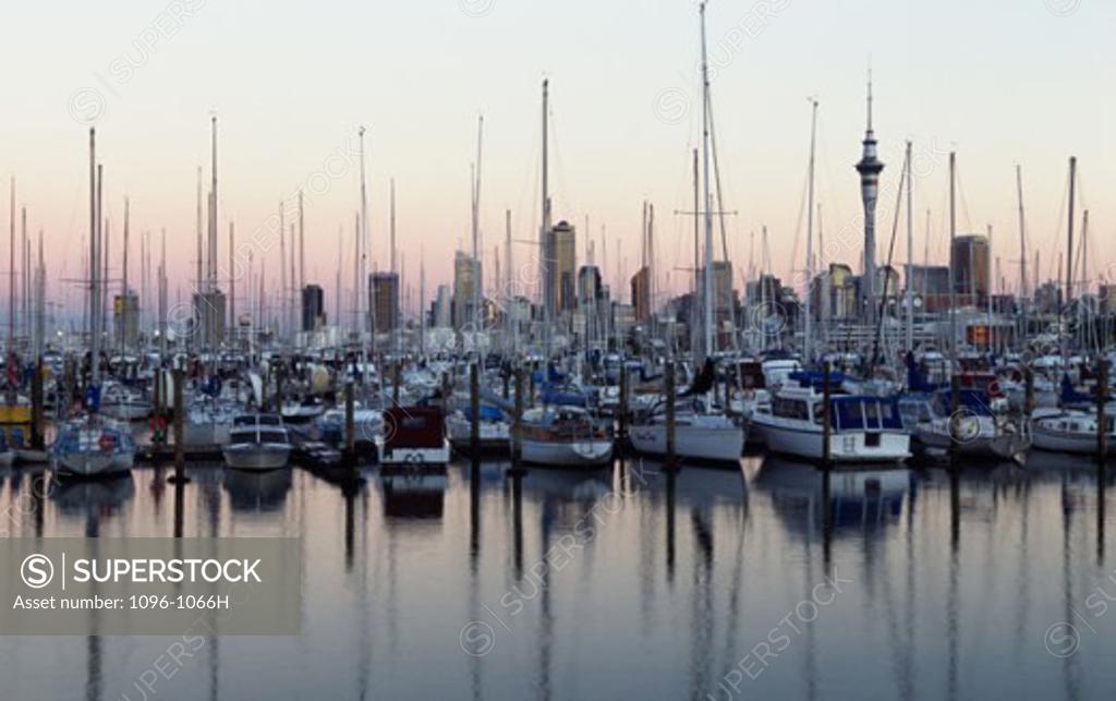 Stock Photo: 1096-1066H Sailboats moored in a harbor, Auckland, New Zealand