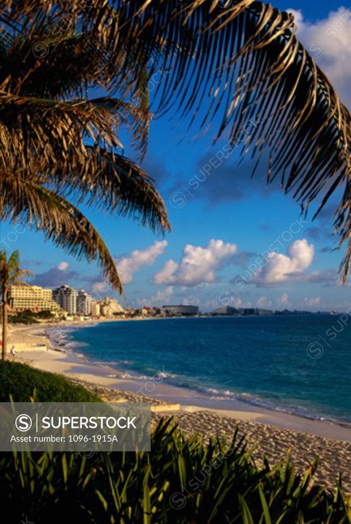 Stock Photo: 1096-1915A Palm trees on Cancun Beach, Cancun, Mexico