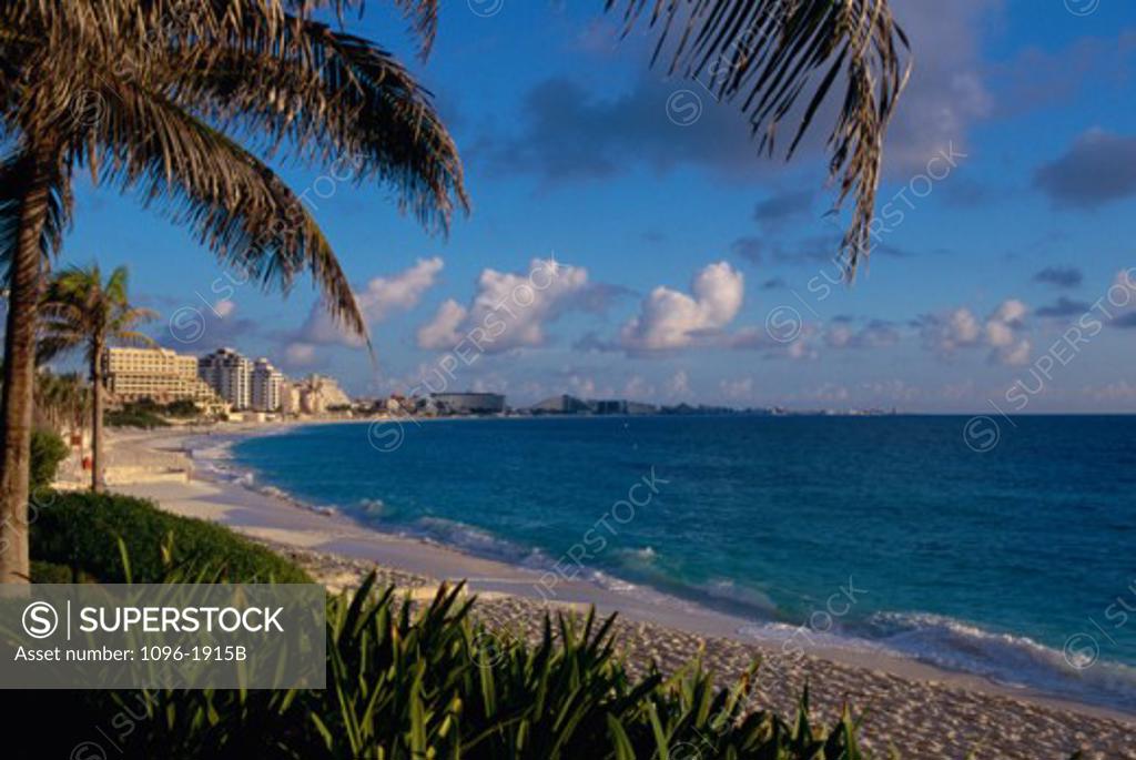 Stock Photo: 1096-1915B Palm tree on Cancun Beach, Cancun, Mexico