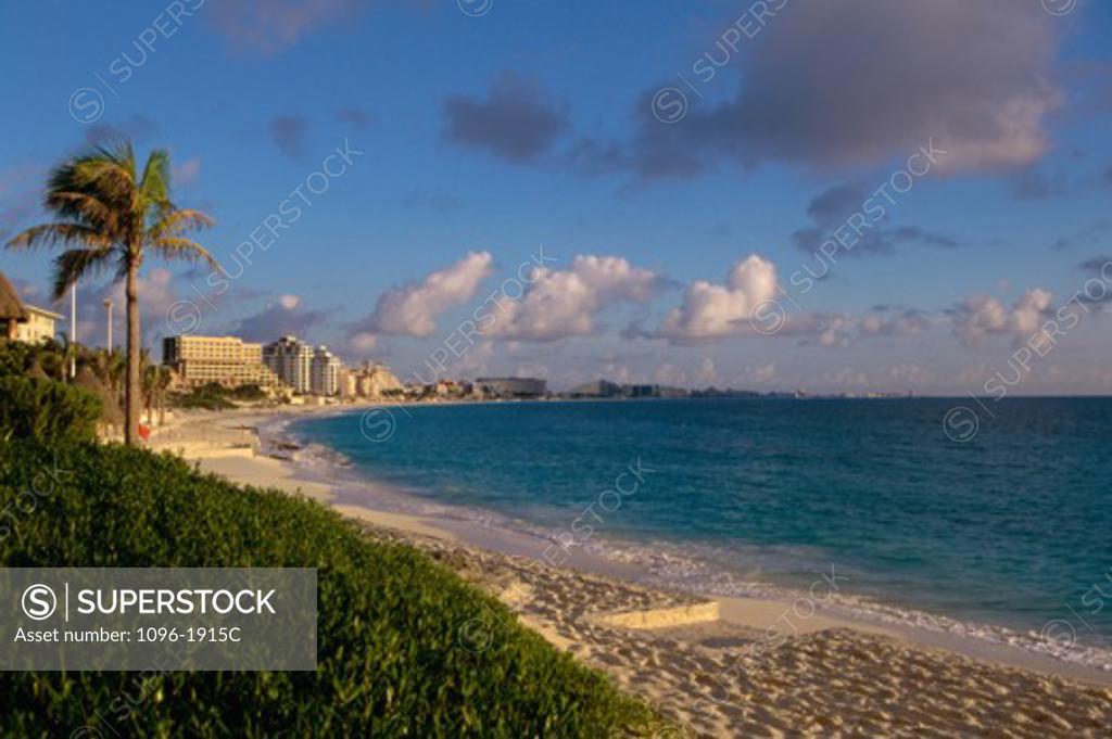 Stock Photo: 1096-1915C Palm tree on Cancun Beach, Cancun, Mexico