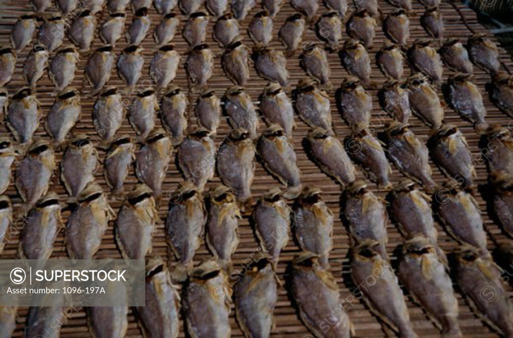 Stock Photo: 1096-197A High angle view of dry fish, Hong Kong, China