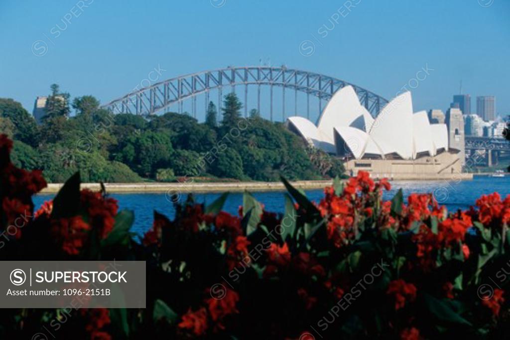 Stock Photo: 1096-2151B Flowering plants in front of the Sydney Opera House, Sydney, Australia