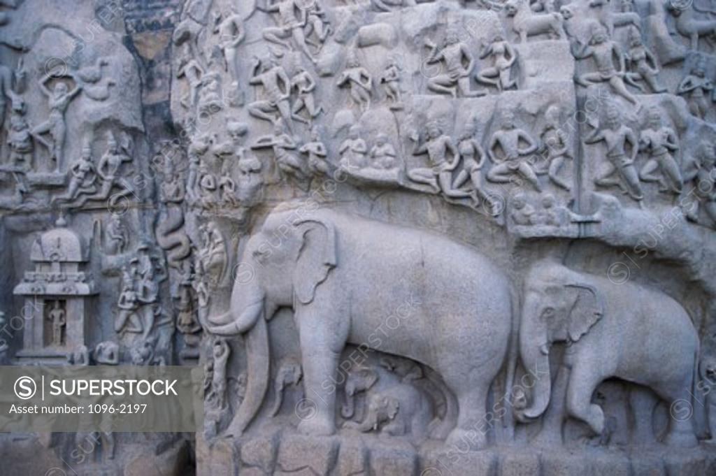 Stock Photo: 1096-2197 Carvings on a wall, Arjuna's Penance, Mamallapuram, Tamil Nadu, India