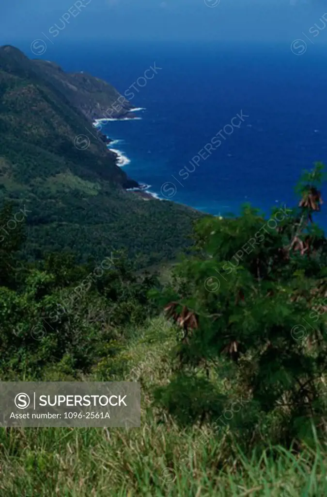 High angle view of the sea coast, St. Croix
