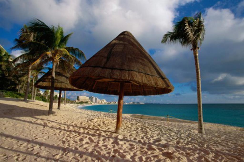 Sunshade umbrellas and palm trees on the beach, Cancun, Mexico