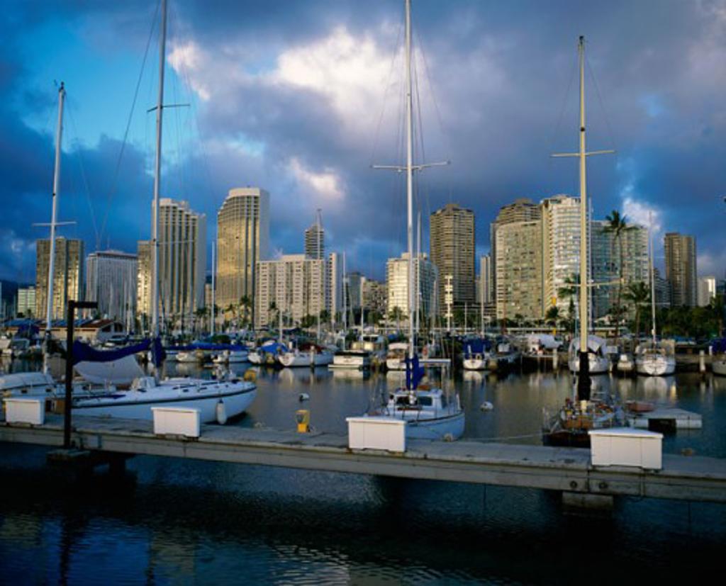 Sailboats docked in a harbor, Ala Wai Marina, Waikiki Beach, Honolulu, Oahu, Hawaii, USA