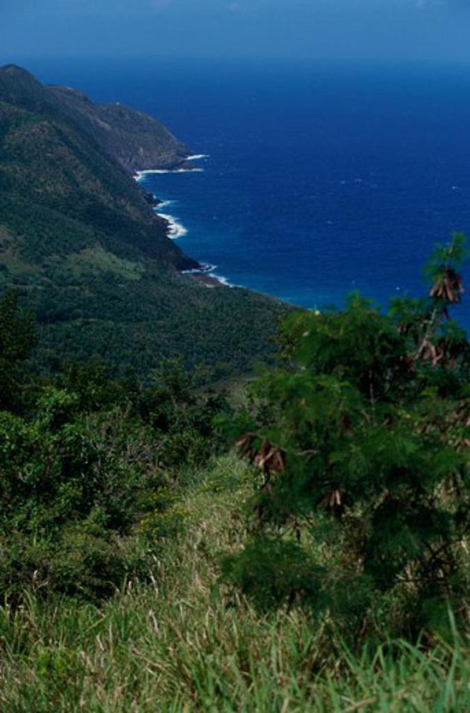 High angle view of the sea coast, St. Croix