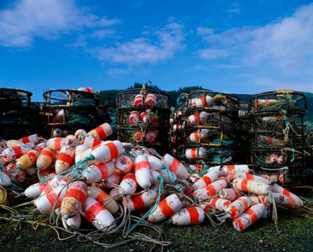 Heap of lobster buoys