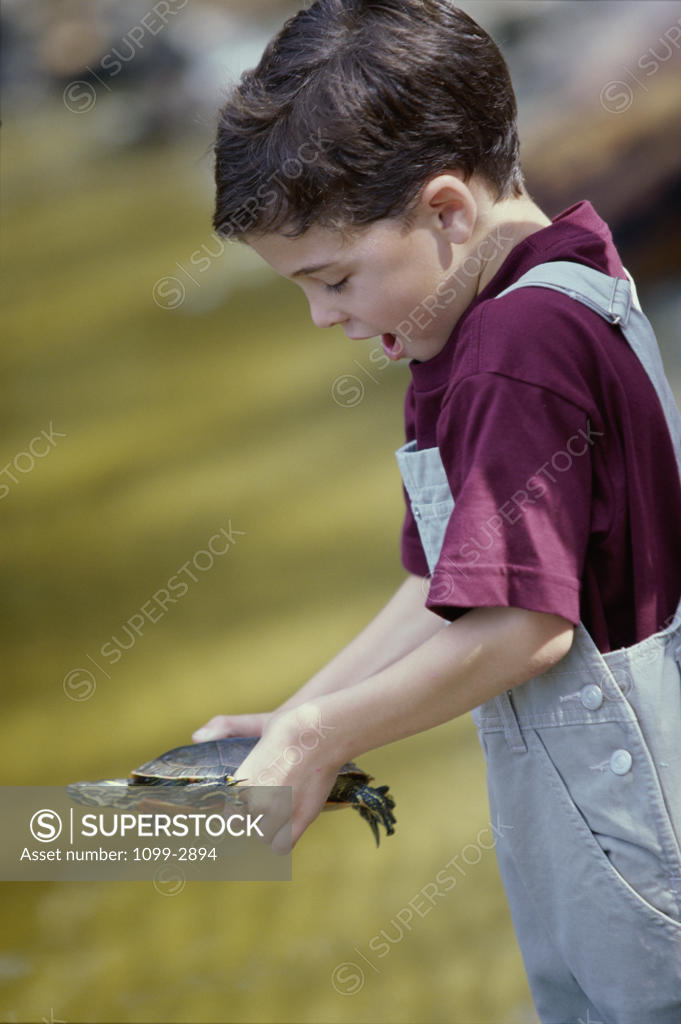 Stock Photo: 1099-2894 Boy holding a turtle