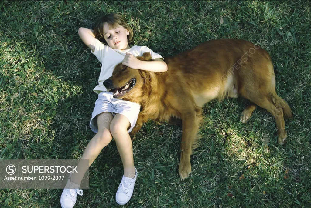 High angle view of a girl lying on the lawn with her dog