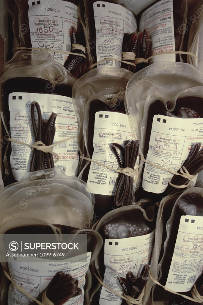 Stock Photo: 1099-6749 Close-up of bags of blood