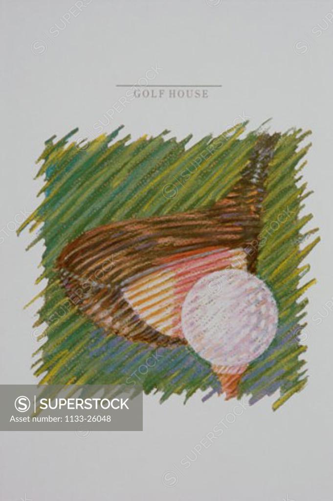 Stock Photo: 1133-26048 Golf Ball & Club  1987 Patti Mollica (20th C. American) Pastel Collection of the Artist