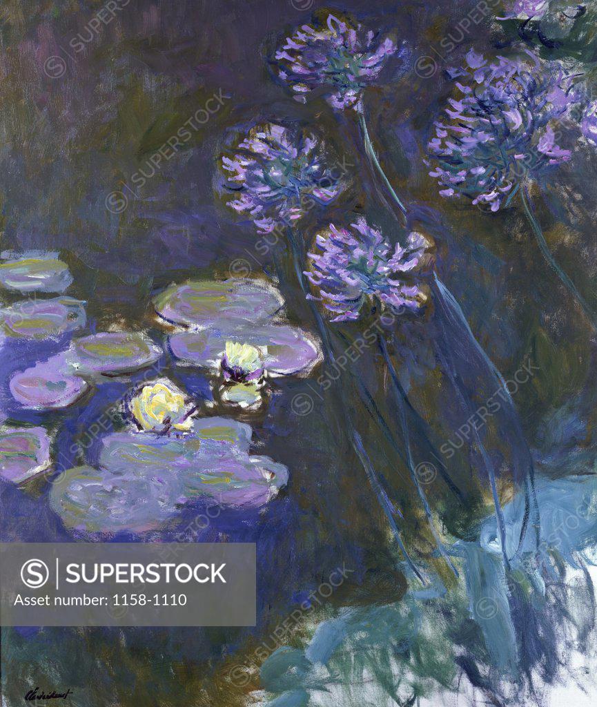 Stock Photo: 1158-1110 Water Lilies & Agapanthus 1914-17 Claude Monet (1840-1926 French) Oil on canvas Musee Marmottan, Paris, France 