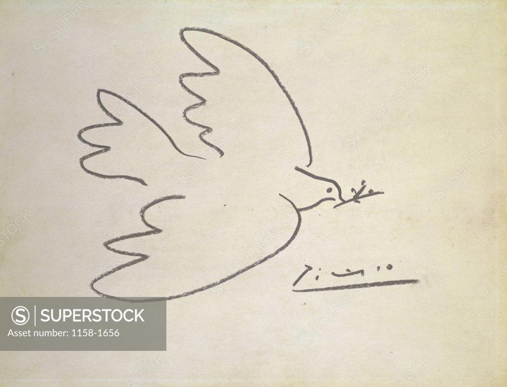 Stock Photo: 1158-1656 The Dove by Pablo Picasso, 1881-1973