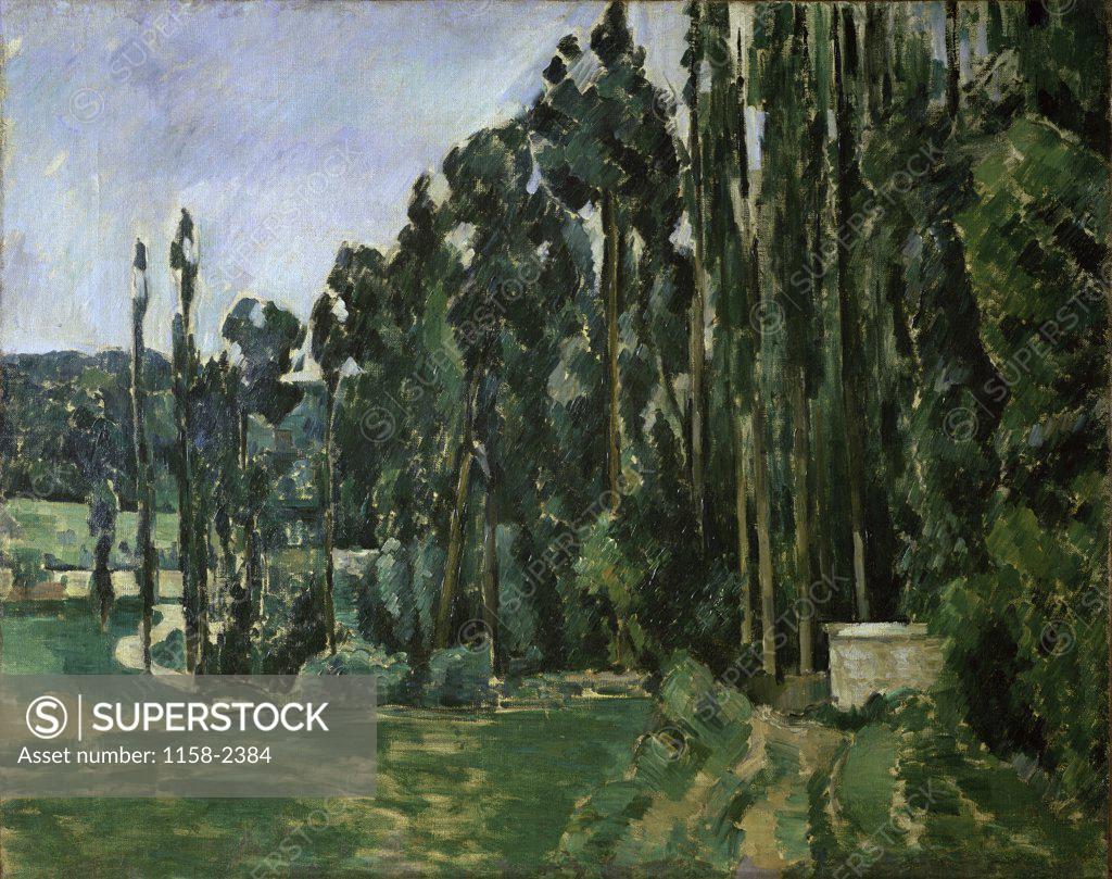 Stock Photo: 1158-2384 The Poplar Trees c. 1879-1882 Paul Cezanne (1839-1906 French) Musee d'Orsay, Paris, France