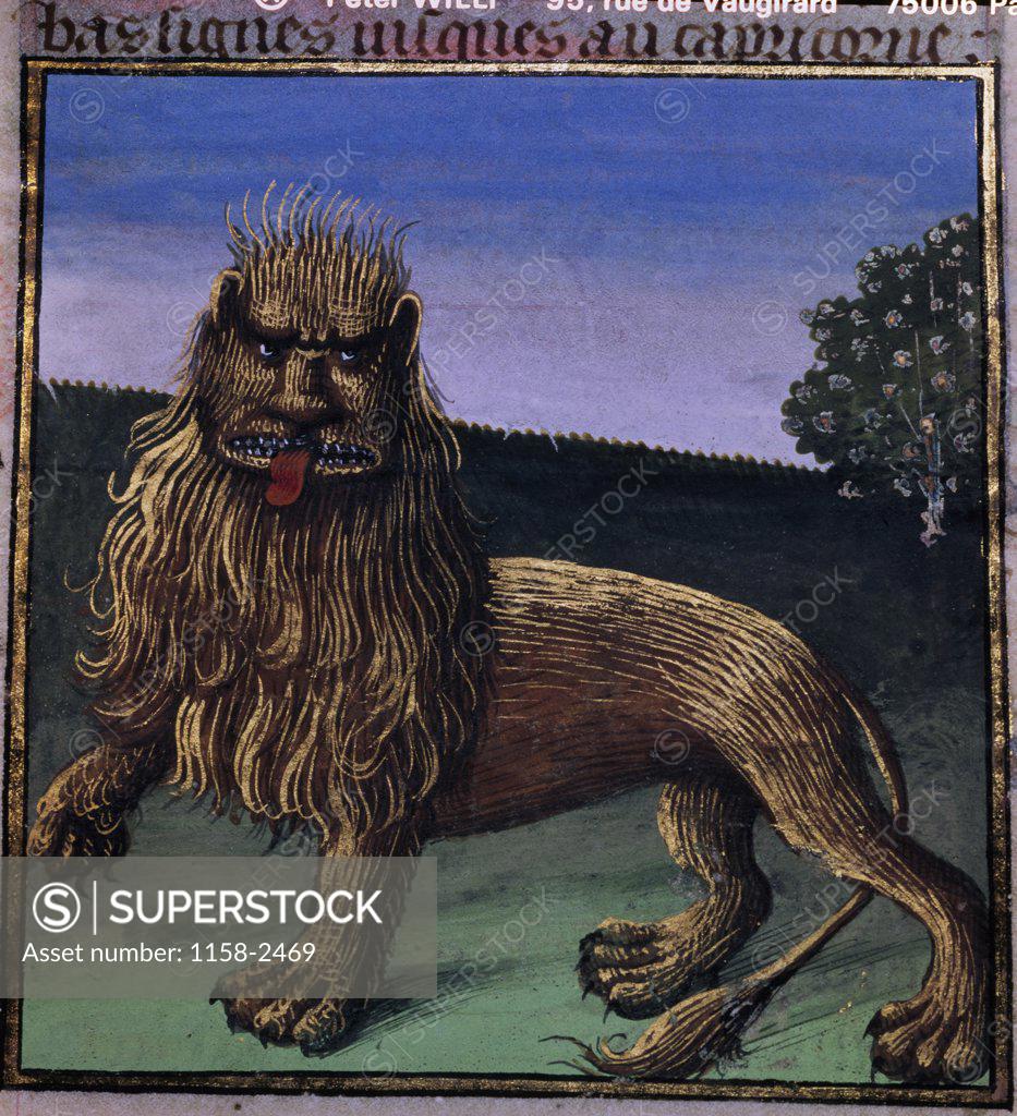 Stock Photo: 1158-2469 The Lion, manuscript, France, Paris, Bibliotheque Nationale