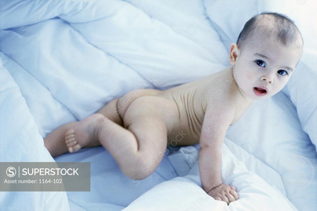 Stock Photo: 1164-102 Portrait of a baby boy