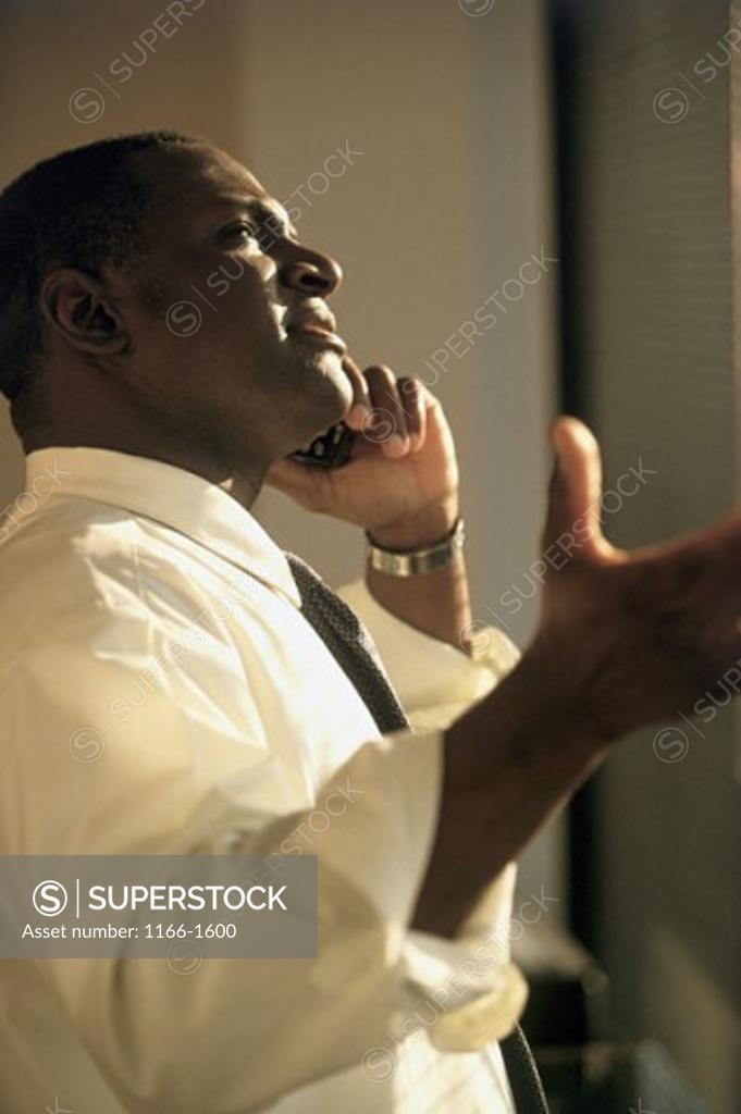 Stock Photo: 1166-1600 Side profile of a businessman talking on a mobile phone