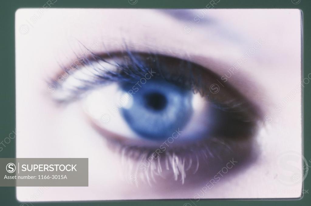 Stock Photo: 1166-3015A Close-up of a woman's eye