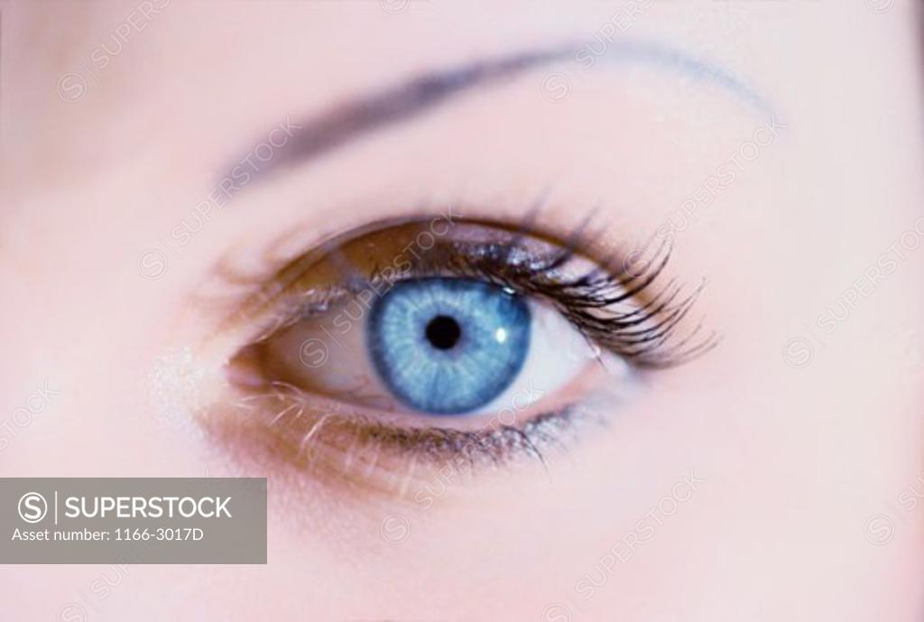 Stock Photo: 1166-3017D Close-up of a woman's eye