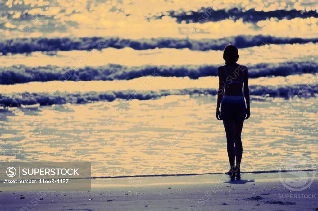 Stock Photo: 1166R-4497 Rear view of a young woman standing on the beach