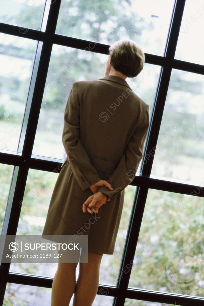 Stock Photo: 1189-127 Rear view of a businesswoman looking through a window