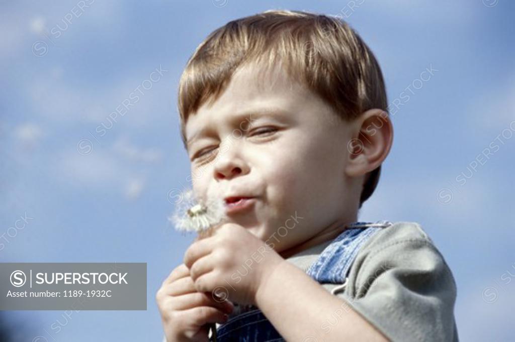 Stock Photo: 1189-1932C Low angle view of a boy holding a dandelion