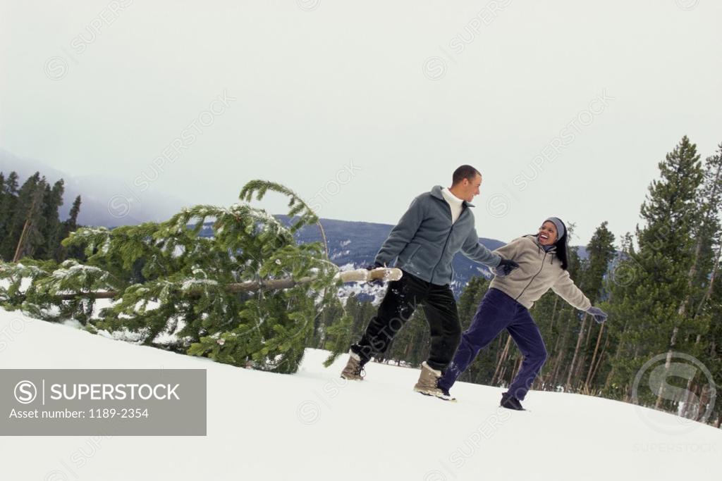Stock Photo: 1189-2354 Young couple dragging a fir tree in the snow