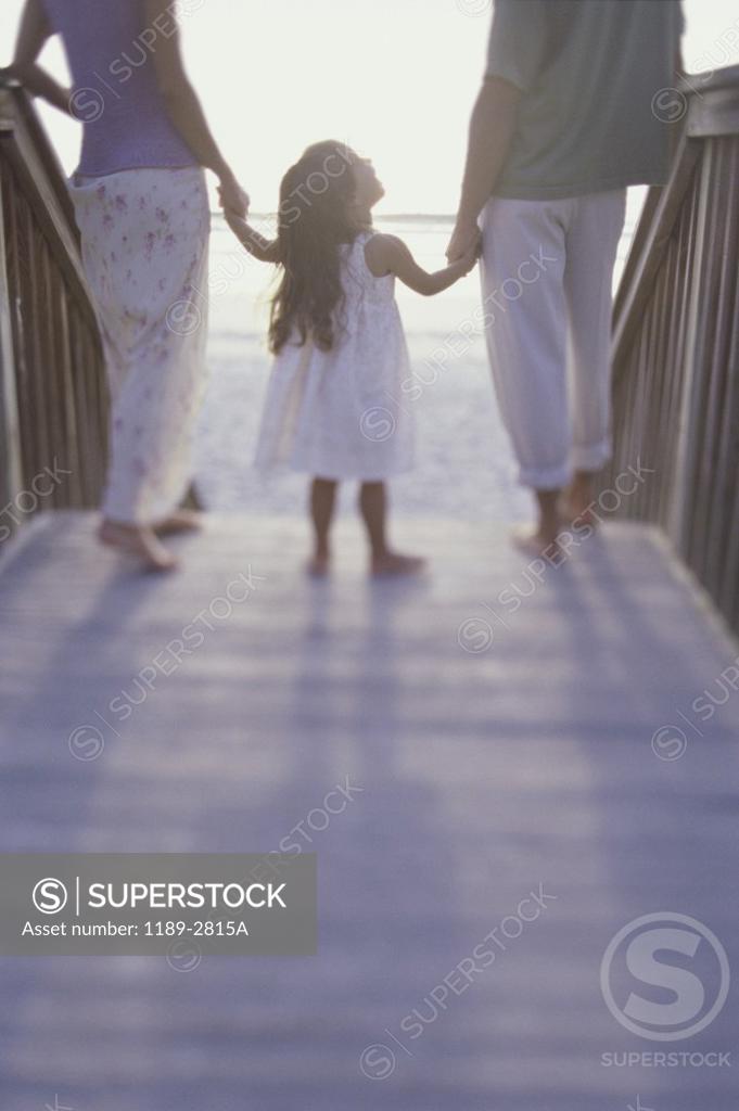 Stock Photo: 1189-2815A Rear view of a couple on the beach with their daughter
