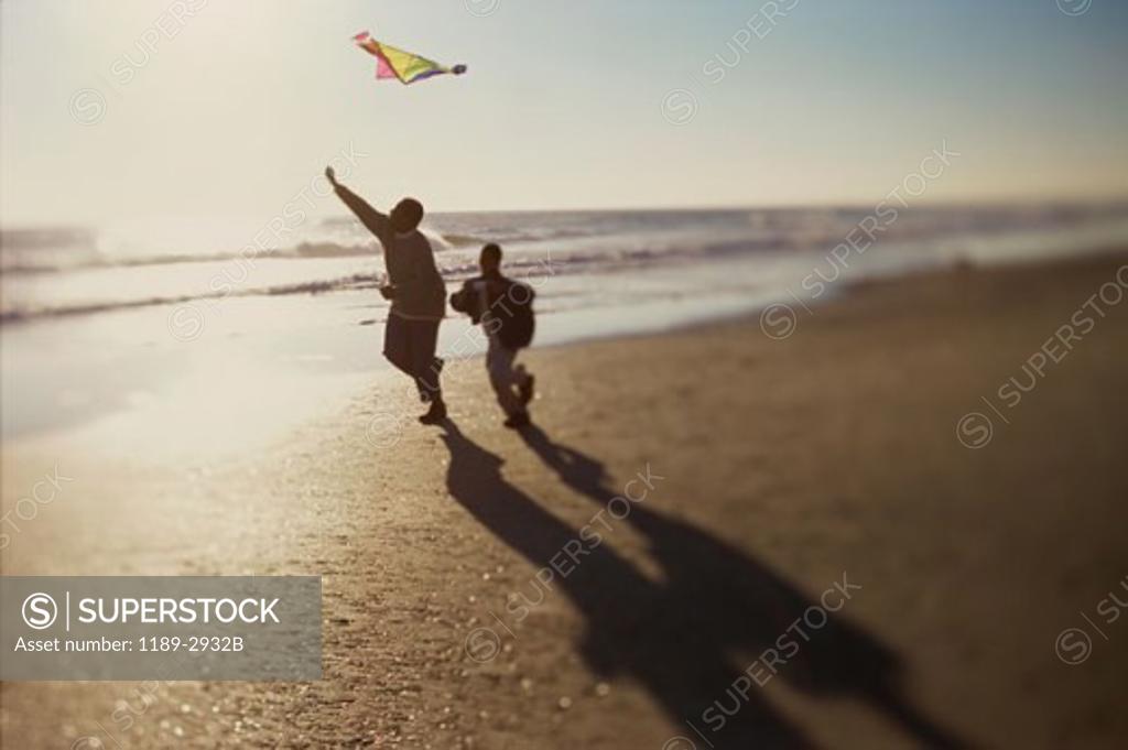 Stock Photo: 1189-2932B Silhouette of a man flying a kite with his son on the beach