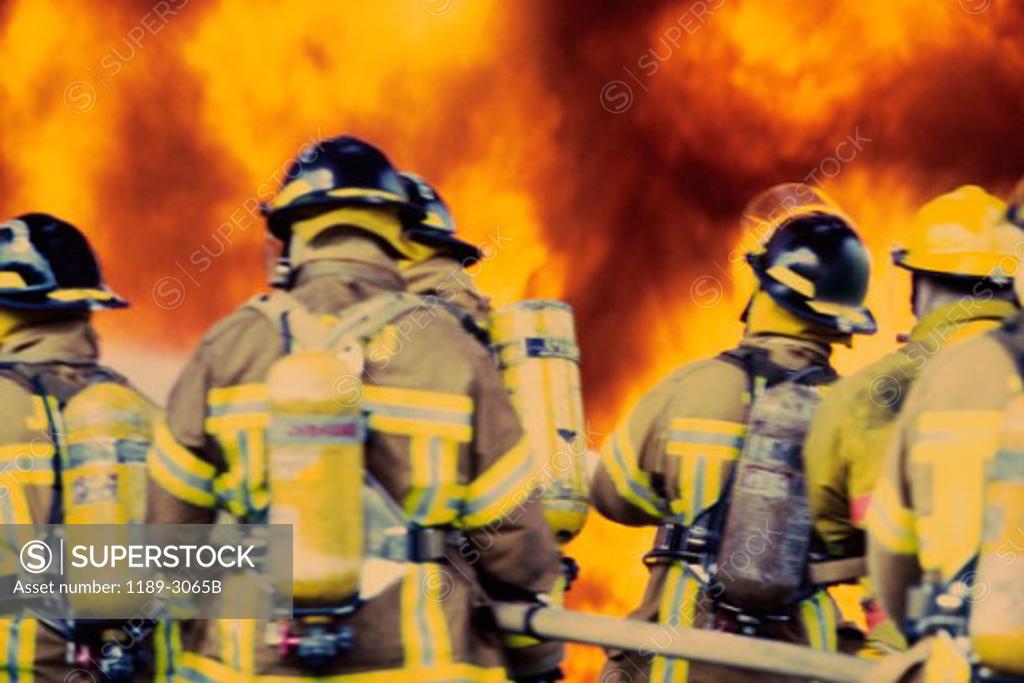 Stock Photo: 1189-3065B Rear view of a group of firefighters spraying water with a fire hose