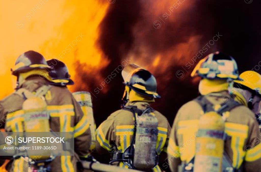 Stock Photo: 1189-3065D Rear view of a group of firefighters spraying water with a fire hose
